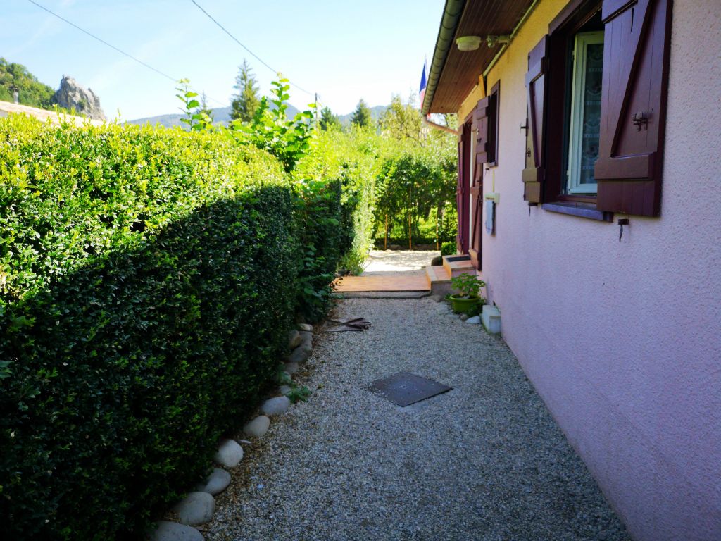 Les hortensias - Photo 3