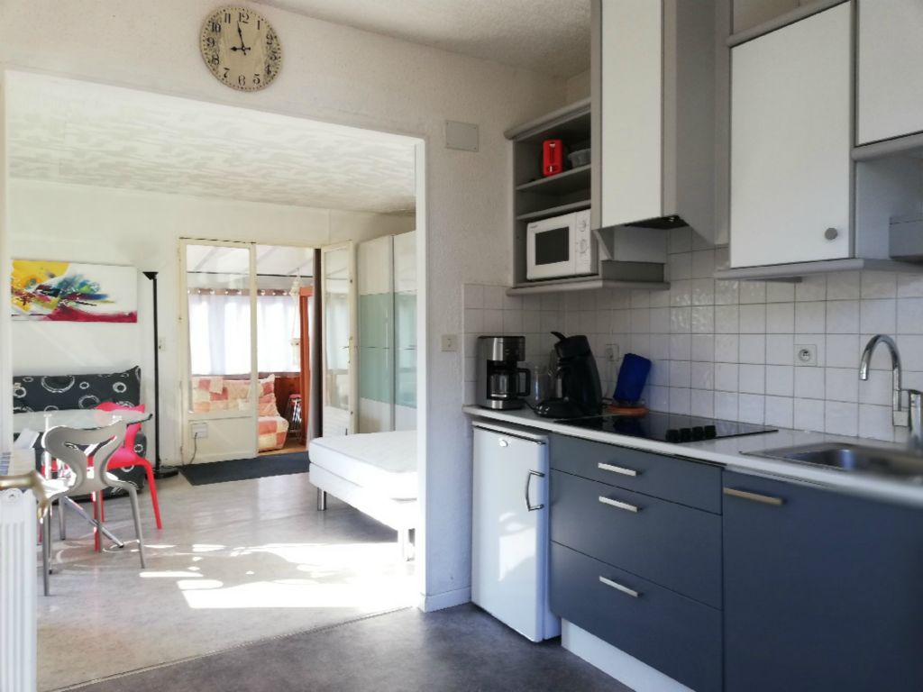 Les hortensias - Photo 18