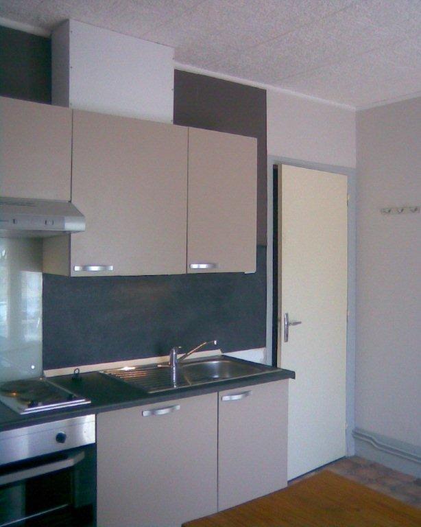 Les rosiers - Photo 10