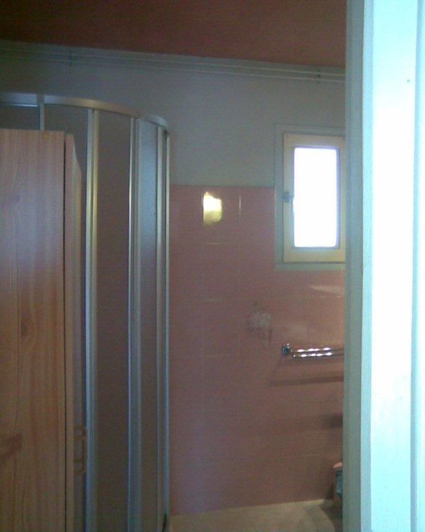 Les rosiers - Photo 15