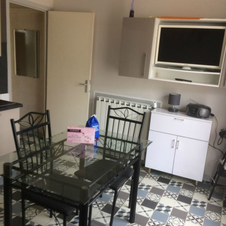 Les rosiers - Photo 19