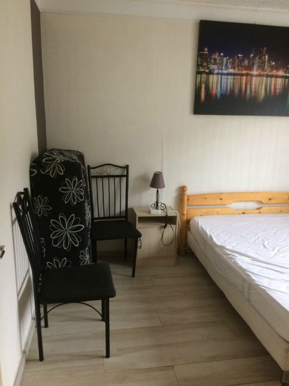 Les rosiers - Photo 20