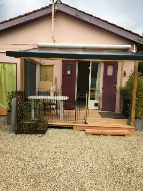 Les tournesols - Photo 2