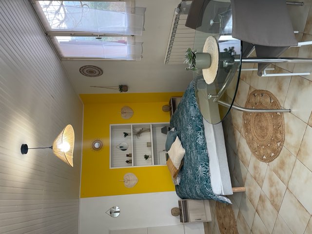 Les tournesols - Photo 6