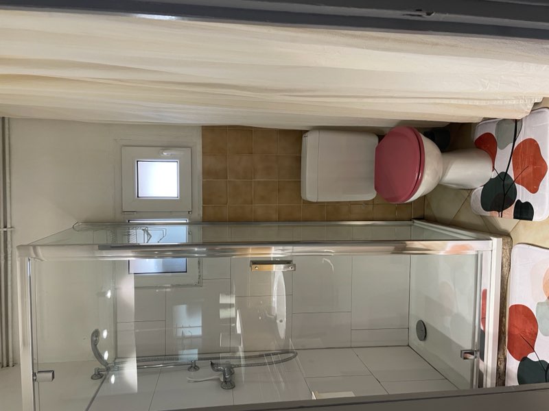 Les tournesols - Photo 9