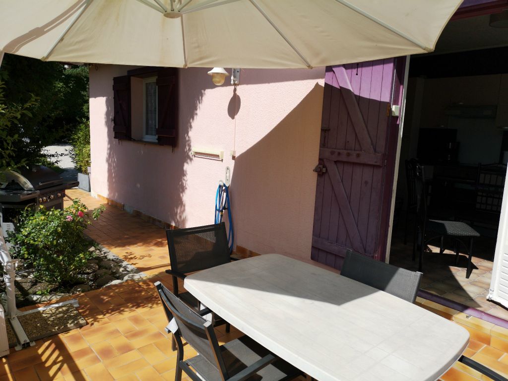 Les tournesols - Photo 5