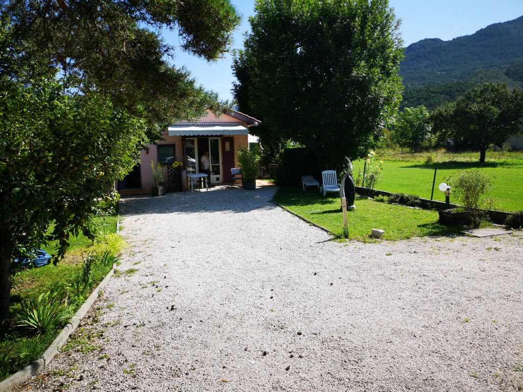 Les tournesols - Photo 8